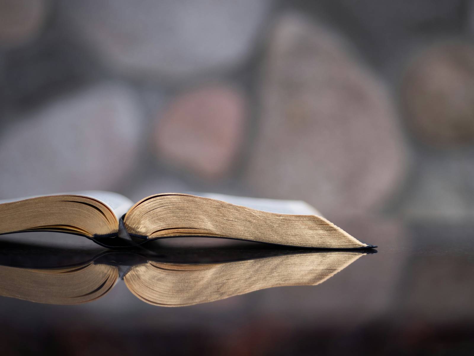 An open book lying on a table