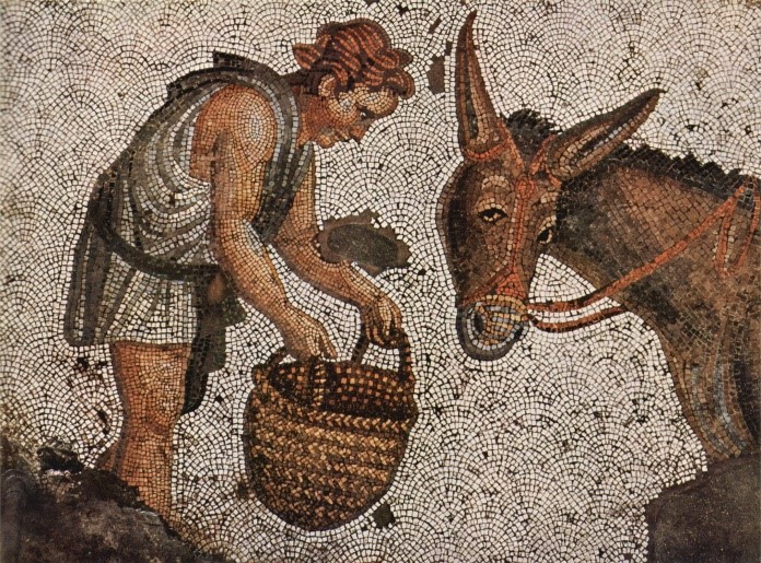 Child feeding a donkey.