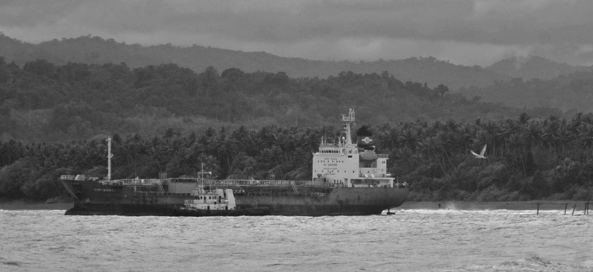 Black and white photograph of tanker ship anchored. In the background coconut plantings and forested hills. A white seabird flies past.