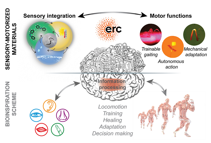 ERC Consolidator main image